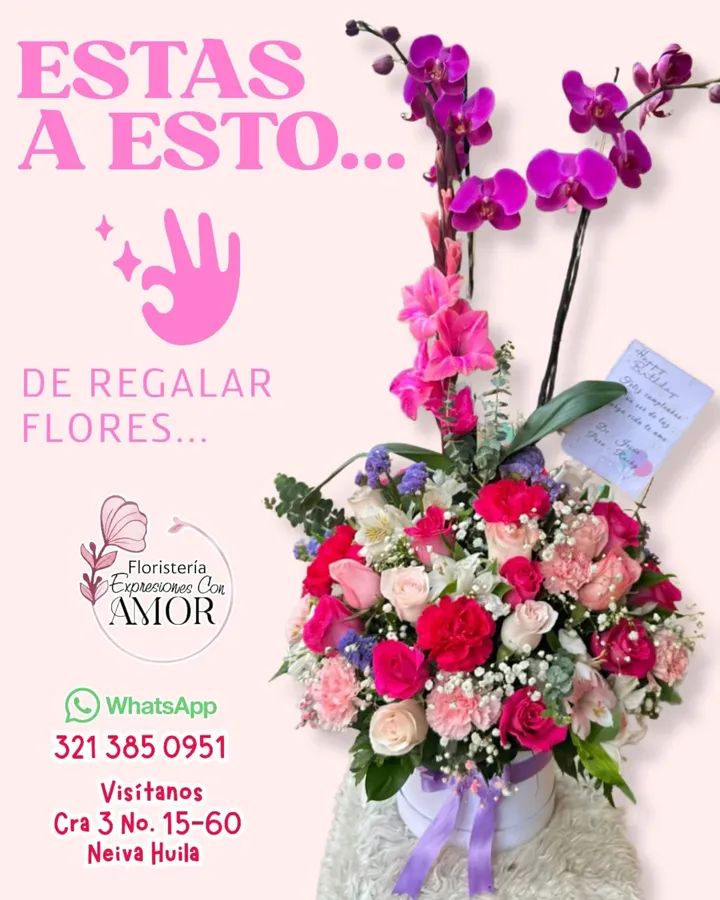 FB_IMG_1774735013809